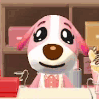 Cookie